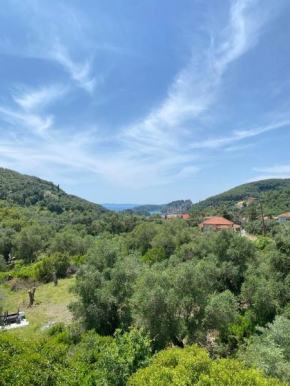 Aristidis view